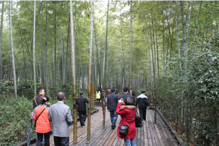 司能經銷商&bull;供應商游覽南山竹海